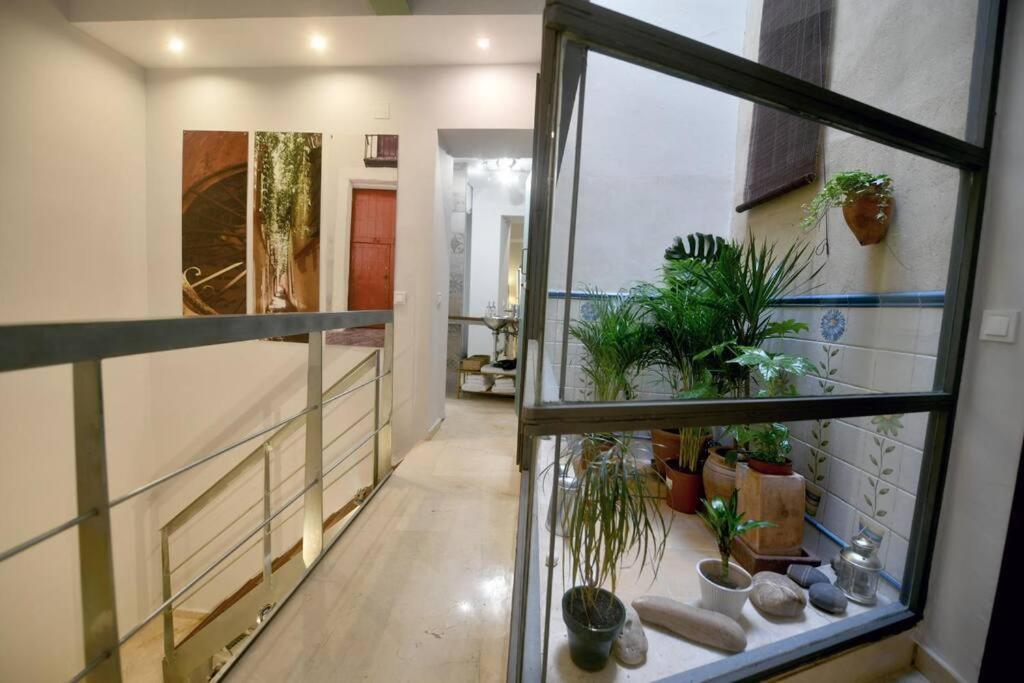 Alegria Sevilla Urban 외부 사진
